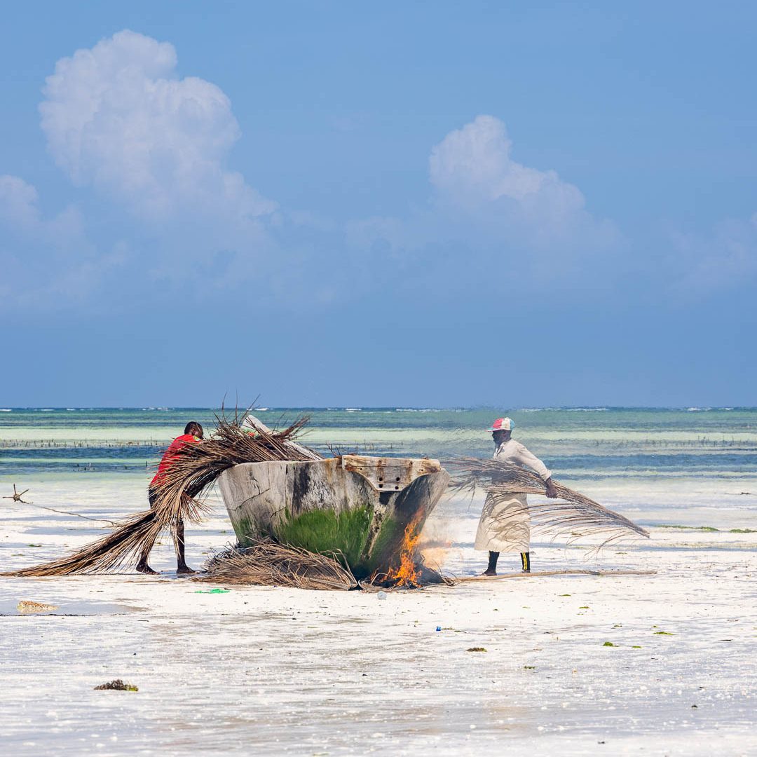 Fischer are working together on the beach.