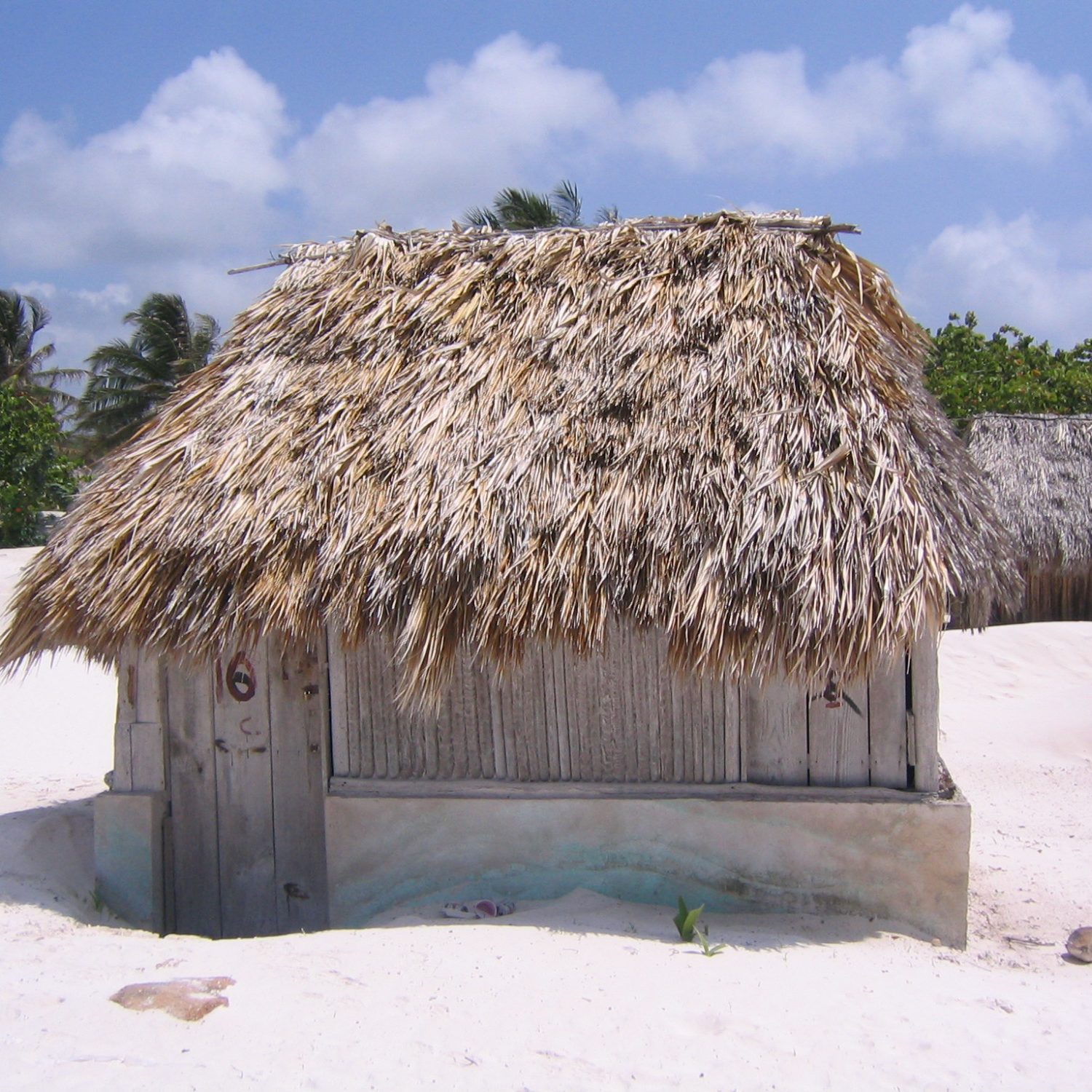 Cottage with thatched roof on sandy ground, surrounded by palm trees and blue sky.