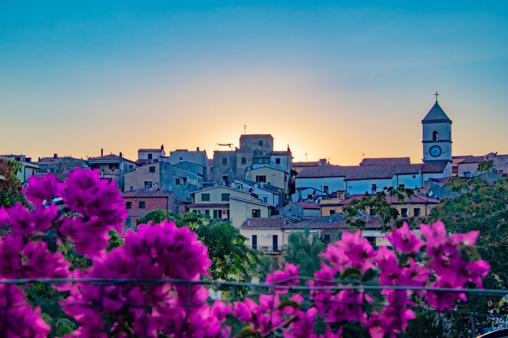 View of a city with flowering bougainvilleas and a tower at sunrise.