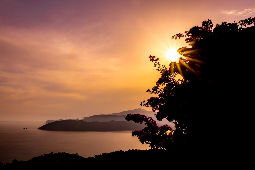 Sonnenuntergang über einem Hügel mit Meer im Hintergrund und Silhouette von Bäumen.