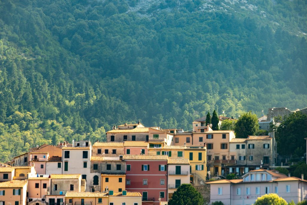 Colorful houses on a hill with green forests in the background.