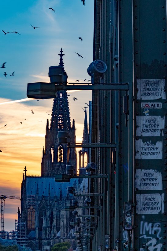 Silhouette der Stadt mit einem Turm gegen den Sonnenuntergang und fliegenden Vögeln.