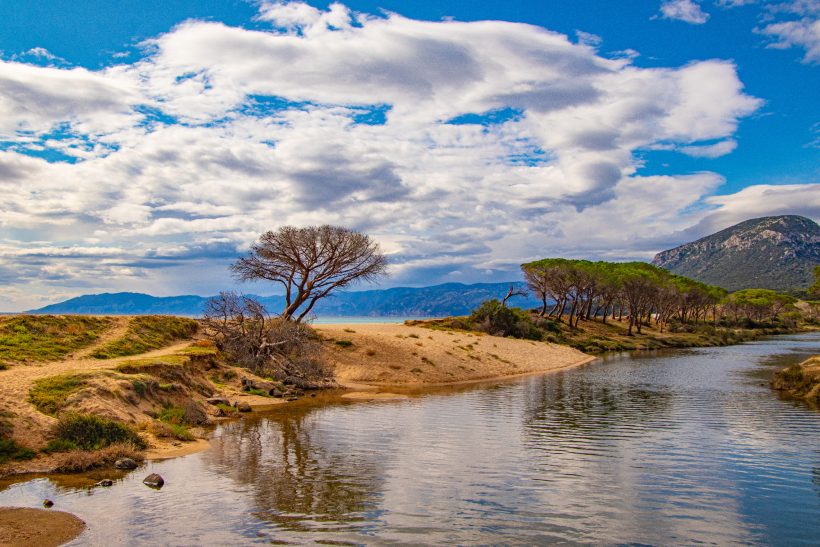 Küstliche Landschaft mit Fluss, Sandstrand, Bäumen und bewölktem Himmel.