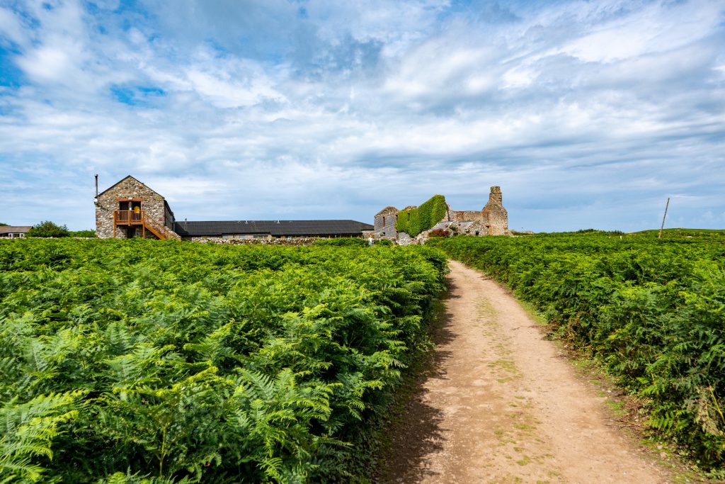 Landschaft mit einem Feldweg zwischen grünen Pflanzen und historischem Gebäude im Hintergrund.