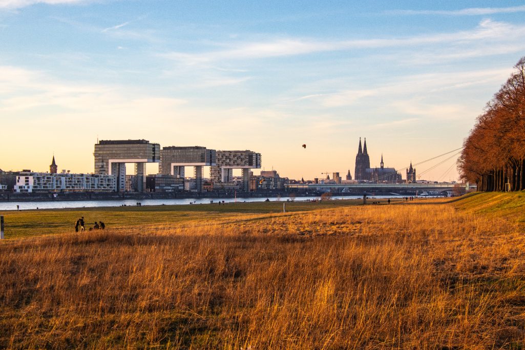 Rhine landscape with meadow, in the background the Cologne skyline and sunset.