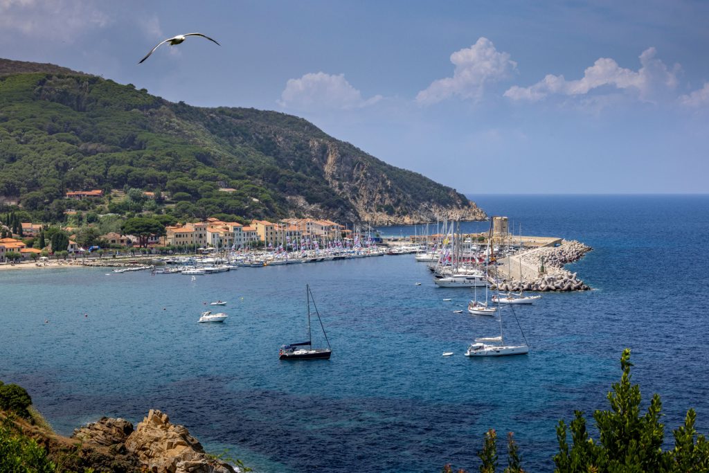 View of the harbour with boats, surrounded by mountains and a coastal town.