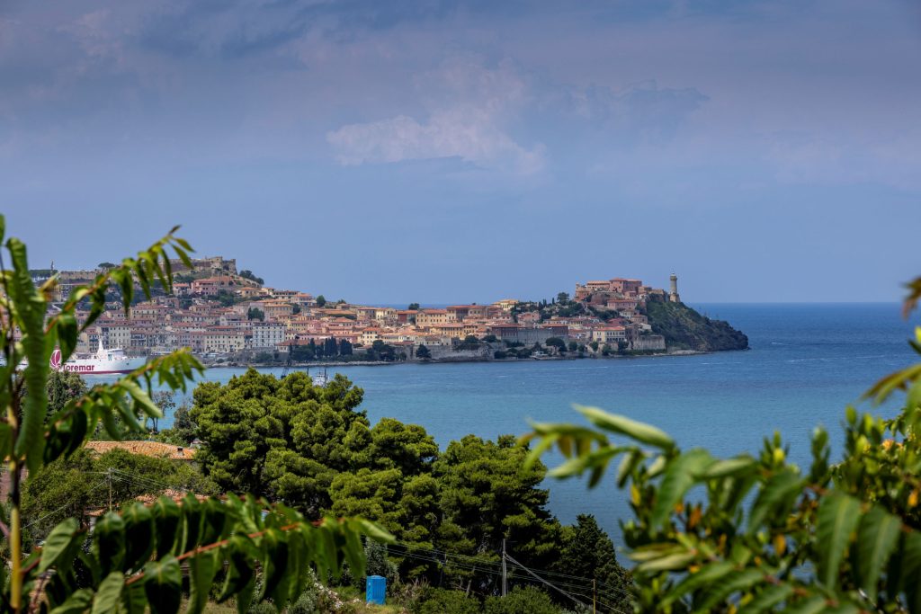 View of a coastal landscape with hills, trees and clear water.